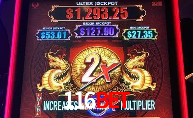 Descubra o Mundo do Cassino Online com 116BET